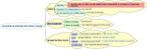 Aide à l’organisation des idées - Cartes heuristiques Diversite Et Parente Des Etres Vivants 300x100