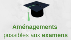 amenagements examen dysmoi