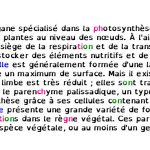 Dossier "lecture" : prise d’info et accessibilité Extrait Mise En Evidence De Sons 150x150 1