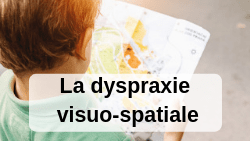 Dvs Dysmoi